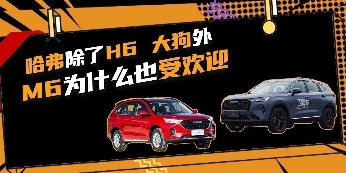 哈弗除了H6、大狗外，M6为什么也受欢迎