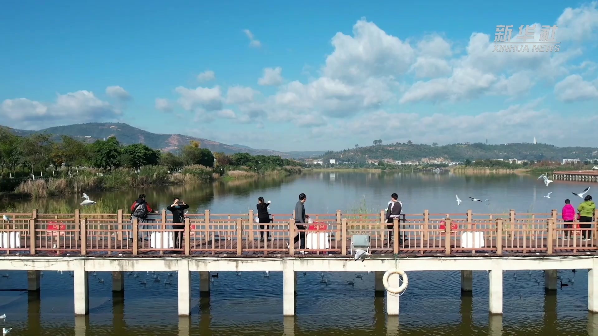 千城胜景｜云南石屏：冬日异龙湖 美景如画