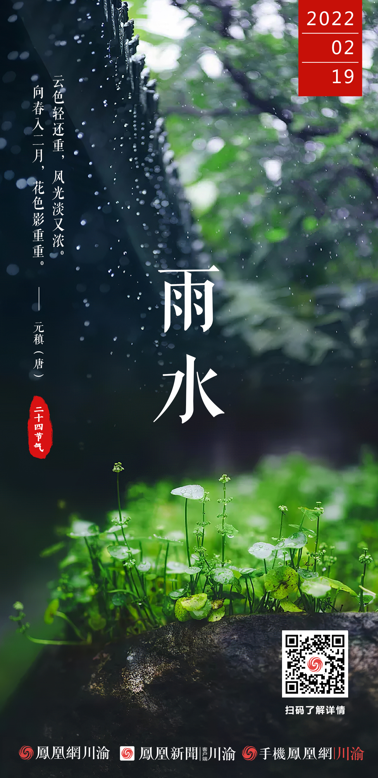 雨水丨向春入二月花色影重重