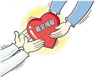 12小时“生死时速” 甘肃省医完成两例肾移植手术