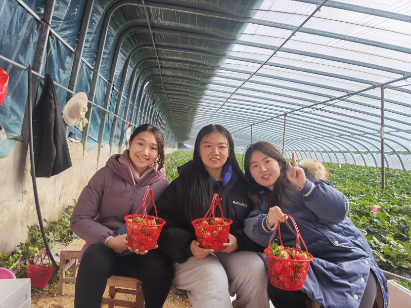 一花一天地，一山一情谊：青岛农业大学巴瑟斯学院赴临沂市平邑县进行实践调研