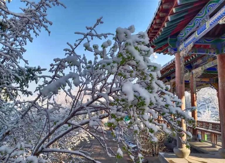 赏花灯舞社火玩冰雪……论兰州"年味"的正确打开方式