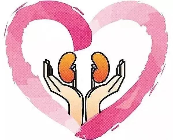 12小时“生死时速” 甘肃省医完成两例肾移植手术