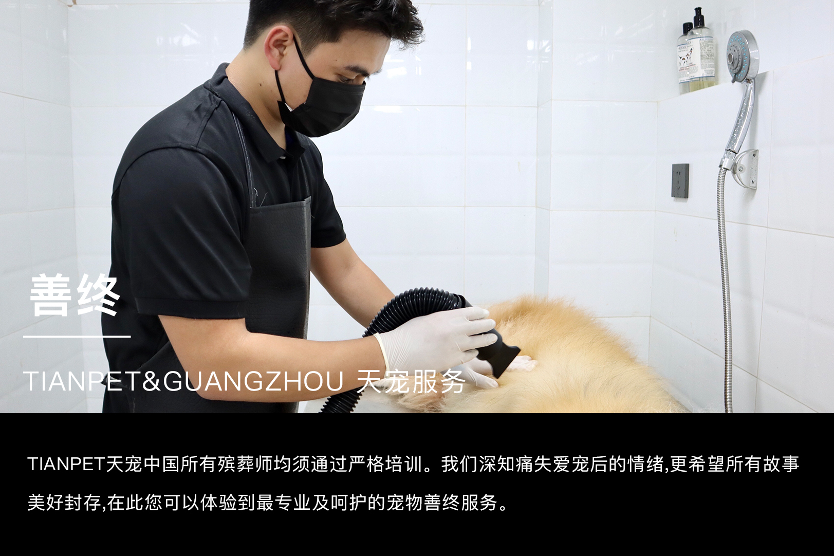 成都宠物火化，宠物殡葬，TIANPET天宠 30万宠物主安心选择