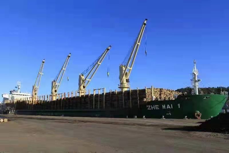 浙江海运降“双碳”迈向全国一流航运企业