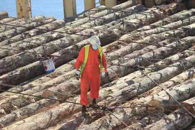 浙江海运降“双碳”迈向全国一流航运企业