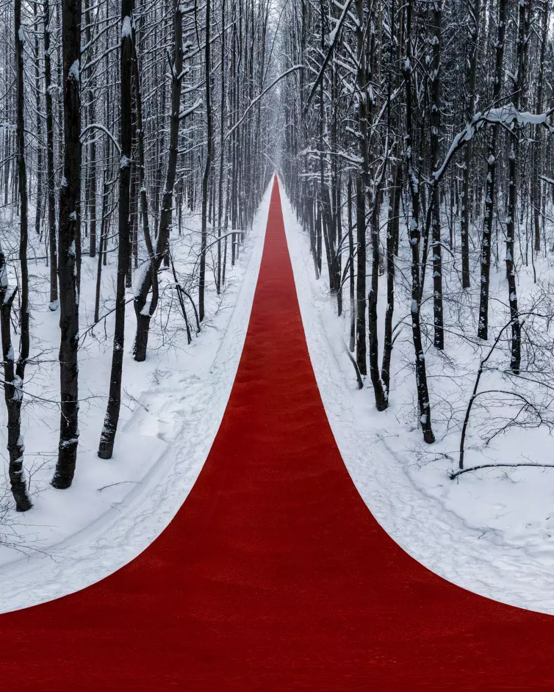 辉县审计：迎初雪防疫情 雪地里最美的一抹红