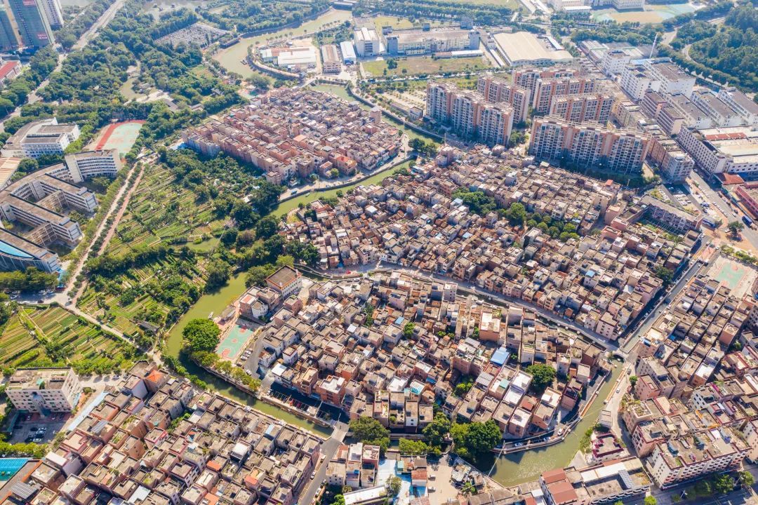 望牛墩加快绘就水乡振兴蓝图4个水乡特色示范村完成验收