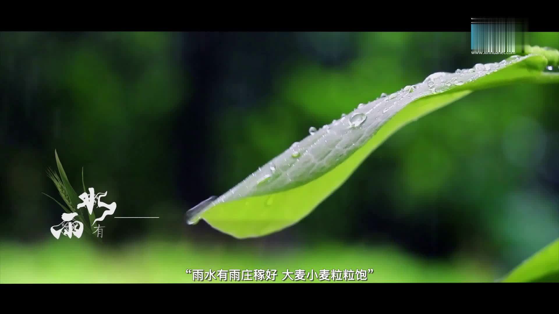 微纪录片：雨水·好雨知时节丨行律千年