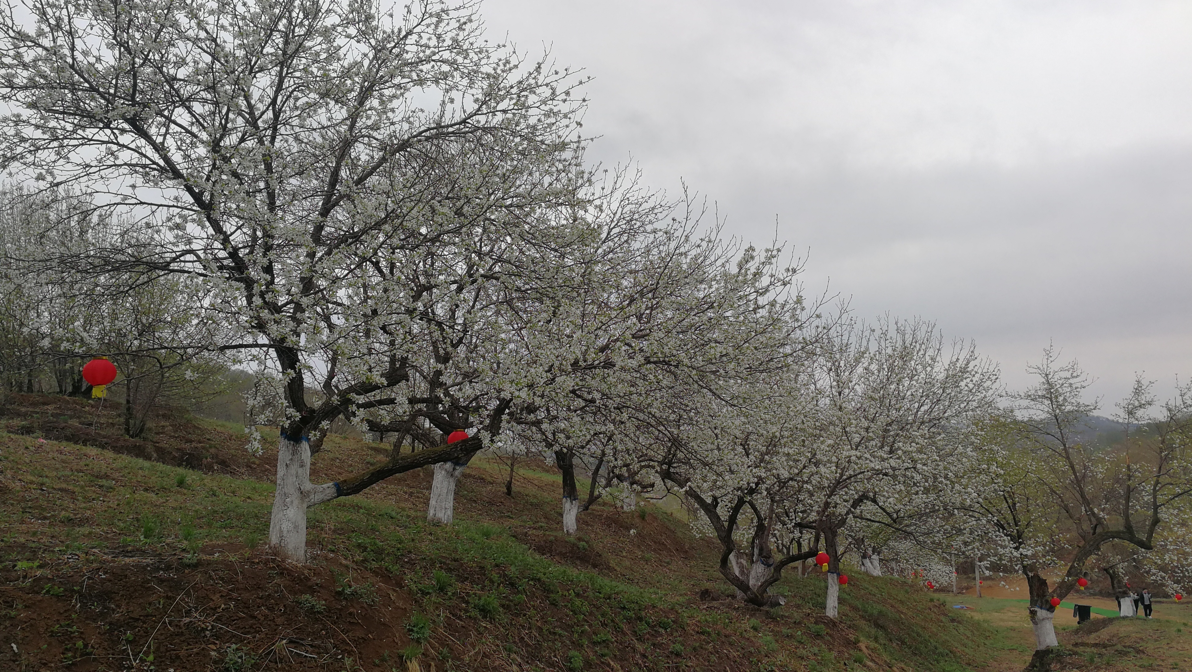 “会”画2022年长春莲花山：成为长春最漂亮的地方！