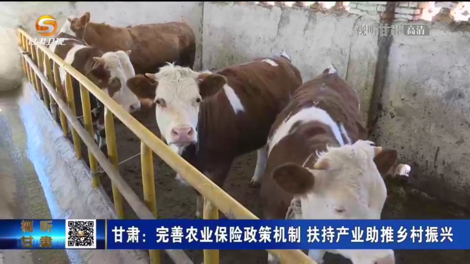 农业保险“强势撑腰” 甘肃乡村振兴“底气”十足