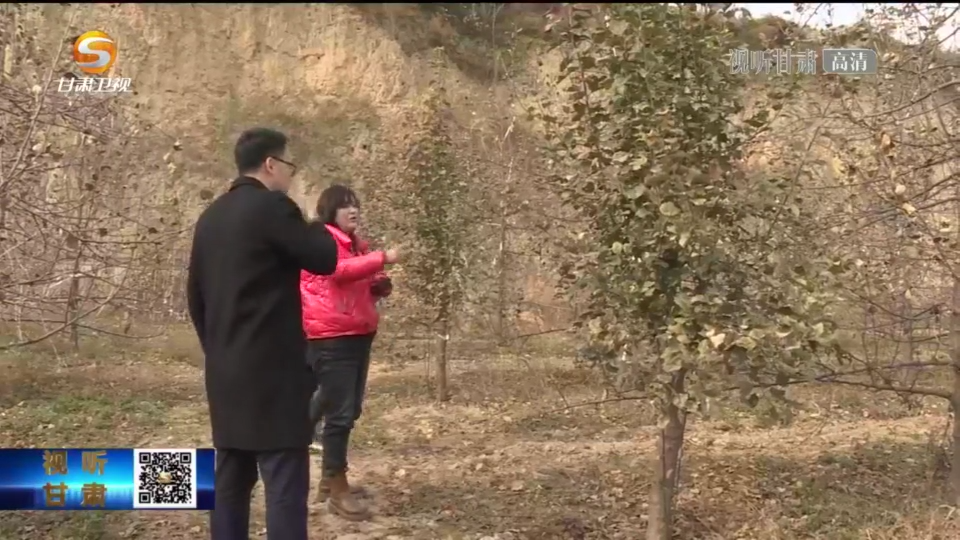 农业保险“强势撑腰” 甘肃乡村振兴“底气”十足