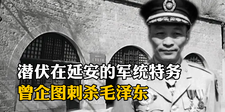 潜伏在延安的军统特务，曾企图刺杀毛泽东