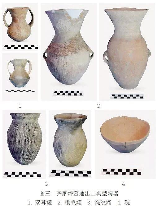 齐家坪遗址出土的陶器