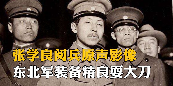 刘劲演张学良图片