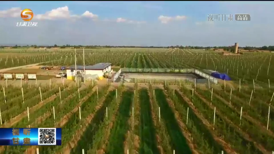 农业保险“强势撑腰” 甘肃乡村振兴“底气”十足