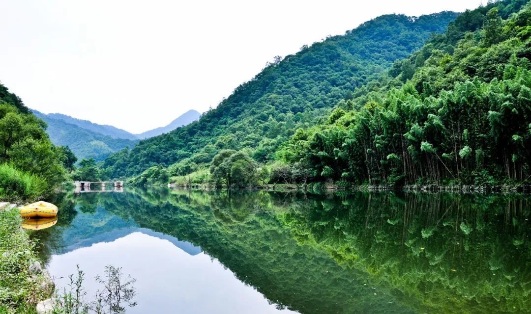康县阳坝生态旅游风景区