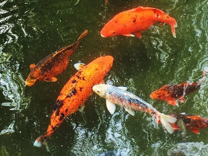 摄影：邵凯、芳子