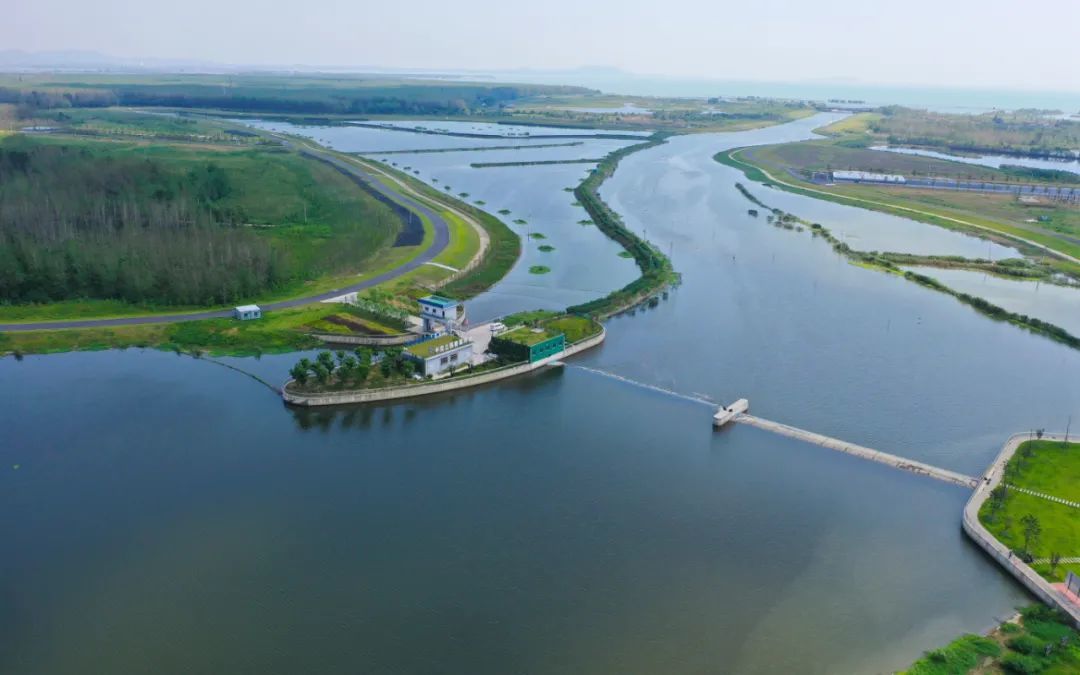 十五里河下游巢湖入湖口生态治理工程.(资料图)全媒体记者 苏玲 摄