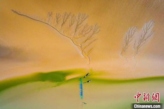 航拍盐城黄海滩涂湿地。(资料图) 孙华金 摄