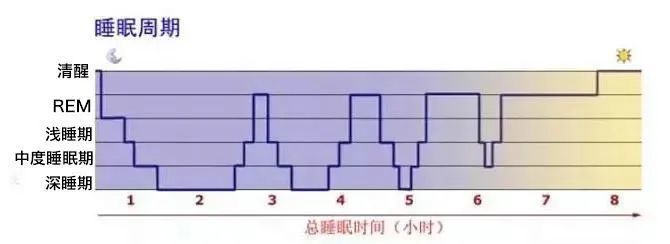 山东>健康养生>健康资讯>正文>人的睡眠可分为快眼动睡眠和非快眼动