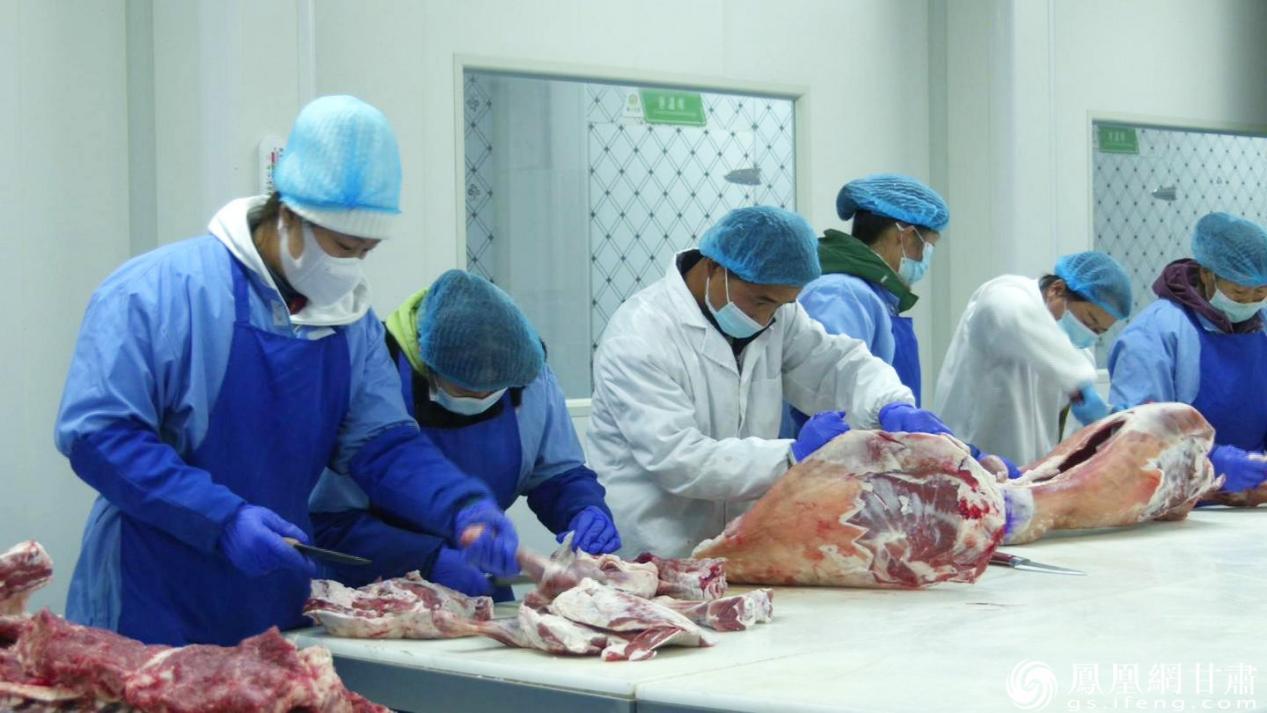 凉州区构筑育、养、加、销全产业链，打响“凉州黄白花牛”地理标志品牌。