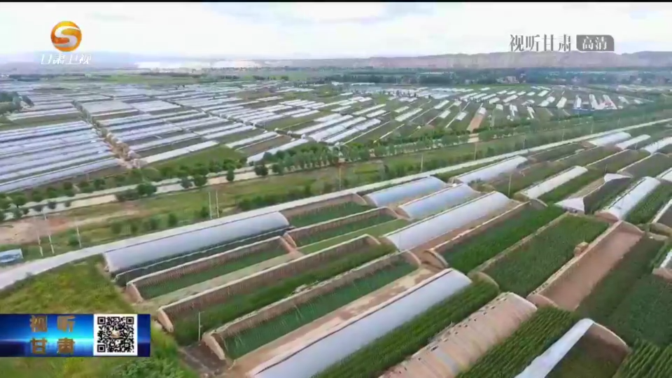 农业保险“强势撑腰” 甘肃乡村振兴“底气”十足