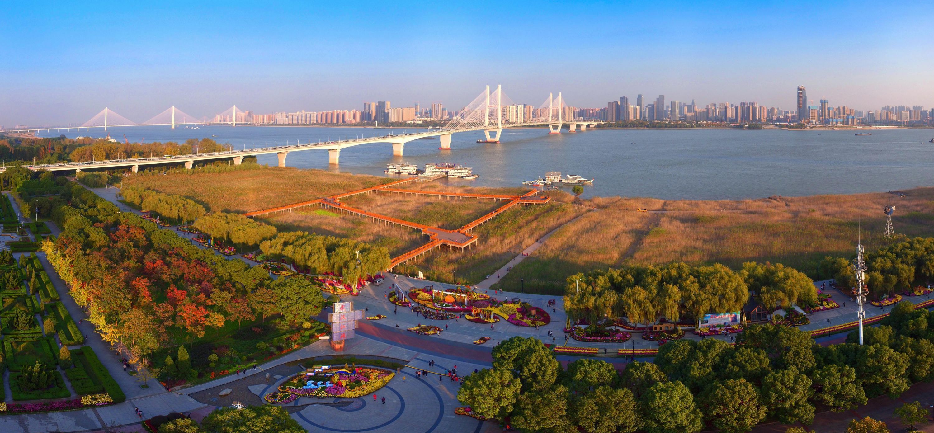 武汉中心城区江滩"收官"!将现全市最长樱花大道凤凰网湖北_凤凰网