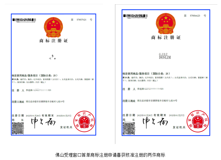 佛山受理窗口首单商标注册申请喜获核准注册__凤凰网