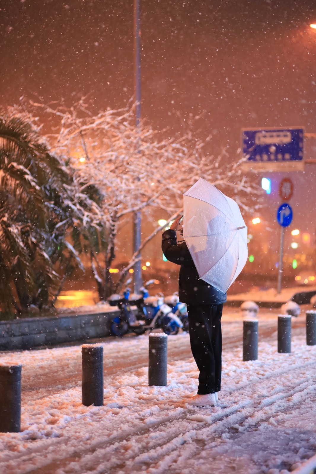 组图长沙的风花雪夜