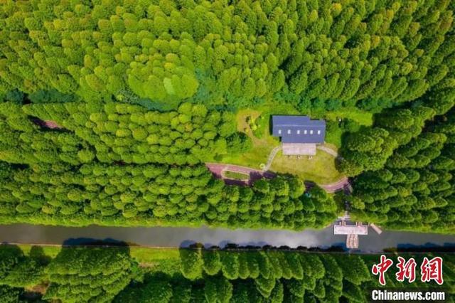 航拍黄海国家森林公园。(资料图) 黄海国家森林公园供图