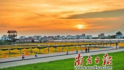 杏花村是高州重点打造的特色精品村之一。受访者供图