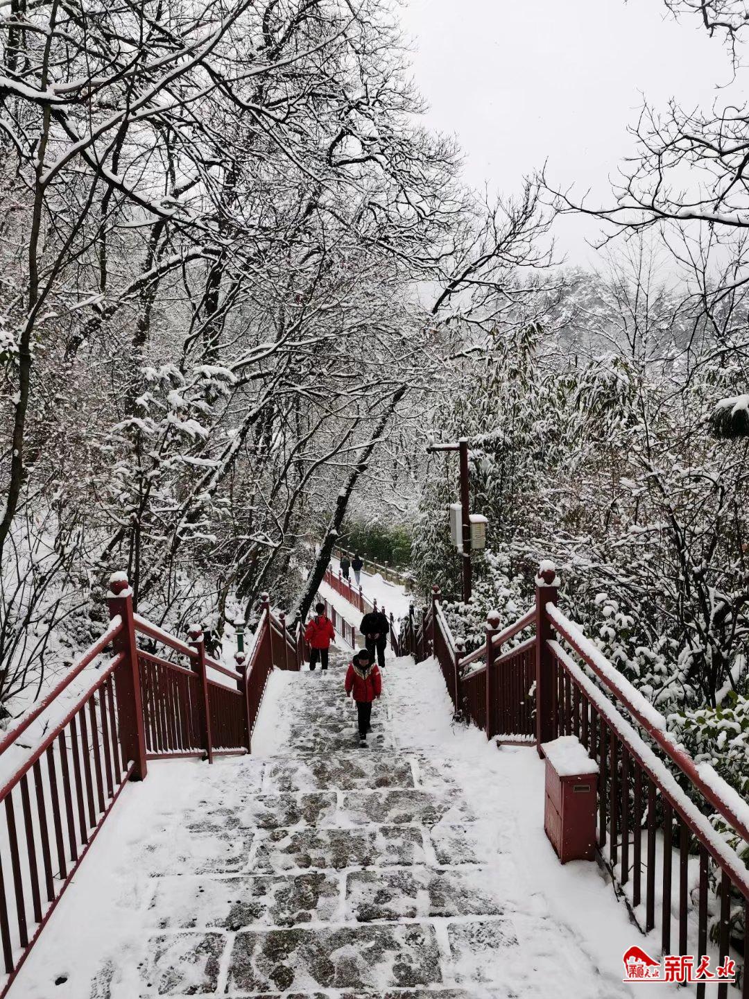 “雪容融”版麦积山美不胜收 杜甫曾登临作诗