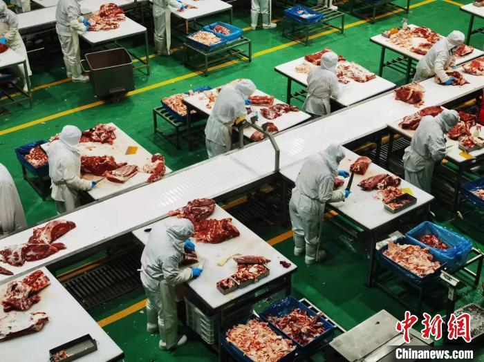 2月21日，张掖市甘州区企业员工切割牛肉。艾庆龙 摄