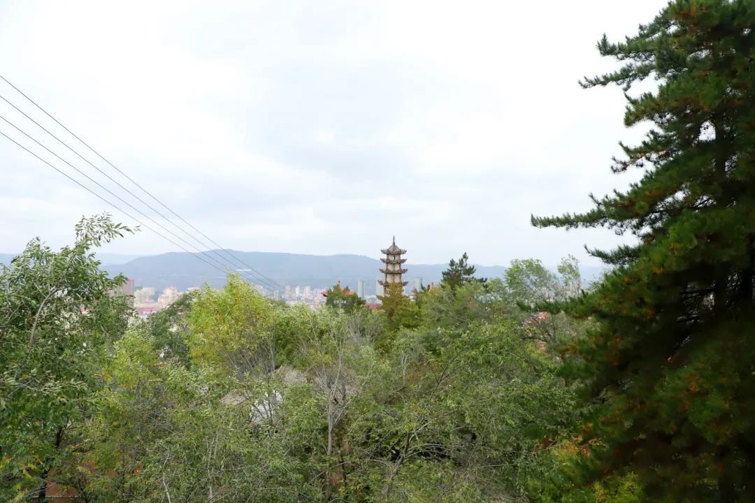 桂林山水甲天下臨洮東山不低頭