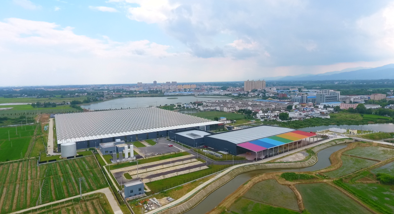 安徽桐城市范岗镇凝心聚力勇担当全面提速谋发展