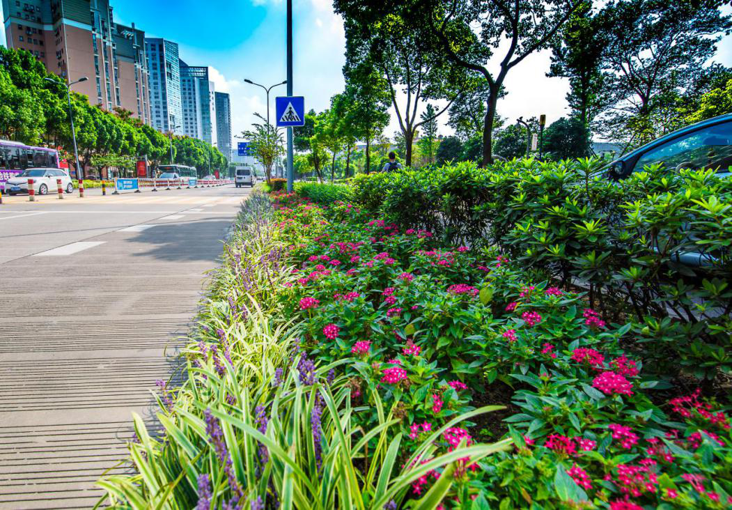 宁波市园林绿化行业管理最高荣誉“茶花杯”花落鄞州