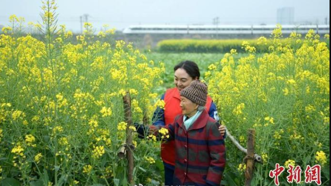 全国政协委员孙洁：建议将老年人起始年龄界定为65岁