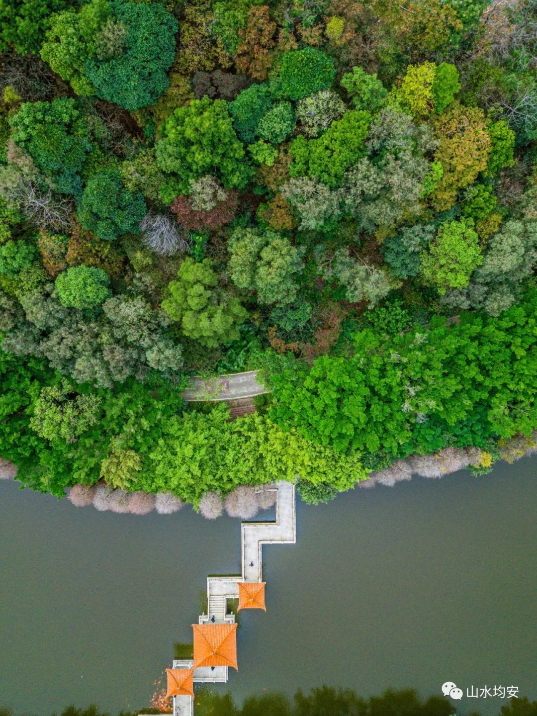 均安翠湖公园景色图片
