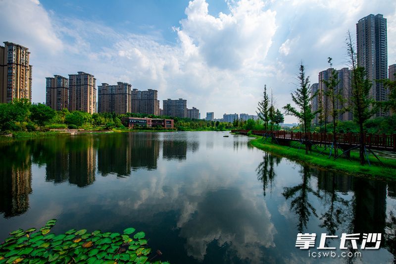 水清岸绿、风景如画。走过沧桑的圭塘河，已成为长沙一张人文生态名片。 长沙晚报全媒体记者 陈飞 摄