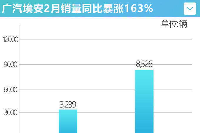 迈入发展新阶段广汽埃安产销翻番 2月销量涨163-图2