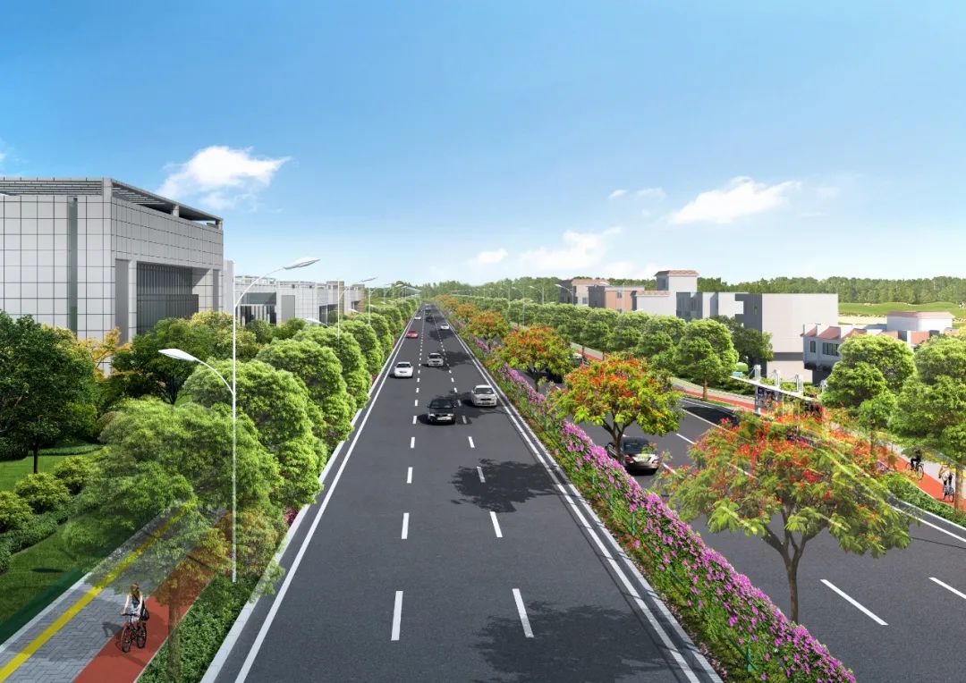 荷桂路横断面效果图