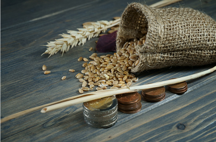 粮价与油价并肩齐飞 芝商所小麦、玉米期货触发涨停