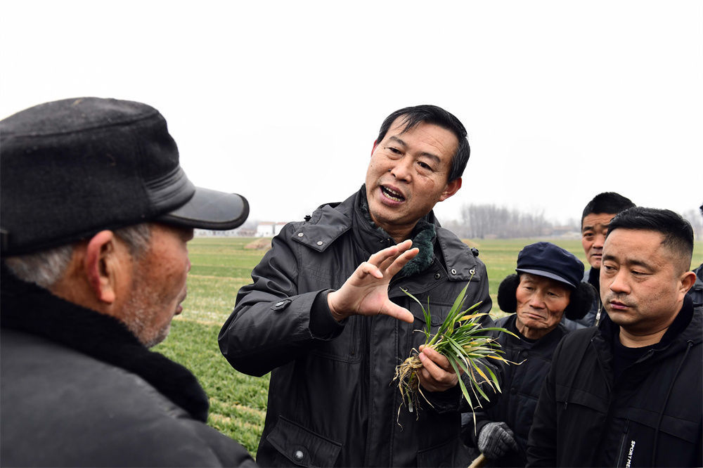 2月18日，在山东省菏泽市巨野县柳林镇，农技专家毕研存（左二）对农民进行小麦春管技术指导。新华社记者 郭绪雷 摄