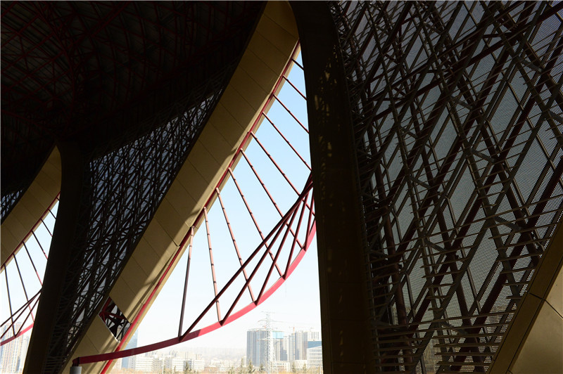 快来看！兰州奥体中心的“花儿”开了……