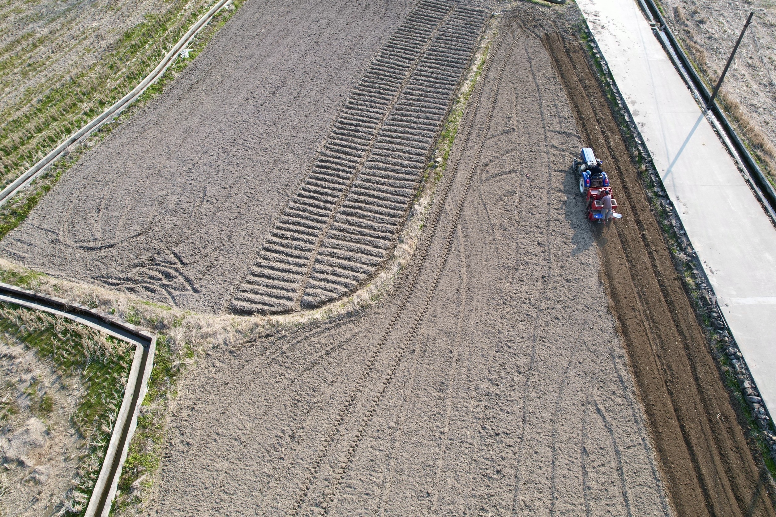 宁海胡陈乡土豆种植机械化 效率提升20倍