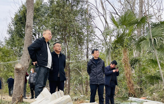 调研会上,武汉市城管执法委相关负责人指导新洲区及相关街道精准高效