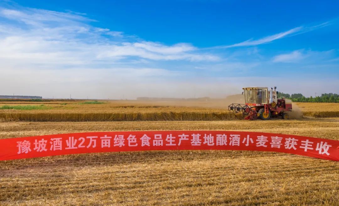 河南省消费者协会秘书长王伟一行莅临豫坡集团调研验收