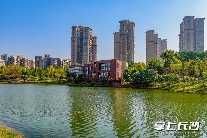 水清岸绿、风景如画。走过沧桑的圭塘河，已成为长沙一张人文生态名片。河畔的和+共享图书馆，给人们带来诸多精神滋养。 长沙晚报全媒体记者 陈飞 摄