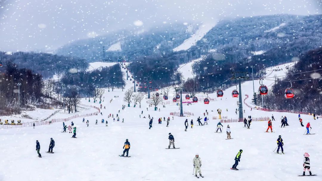 自2021-2022雪季開板至2月6日,萬科松花湖滑雪度假區共接待遊客38.